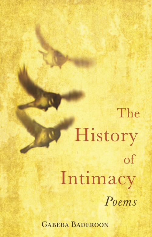 NB Publishers | The History of Intimacy